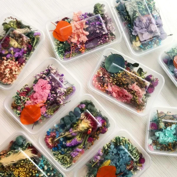 Real Dried Flowers Pack