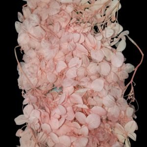 Pastel Pink Hygendra Dry Flowers